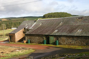 Reparing the steading roof