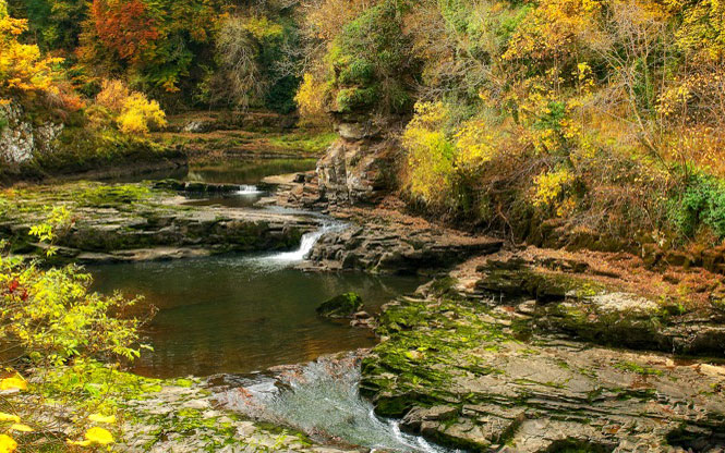 Falls of Clyde Wildlife Reserve