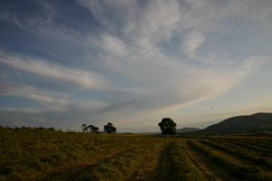 Cut Hay in the Side Field, Cormiston
