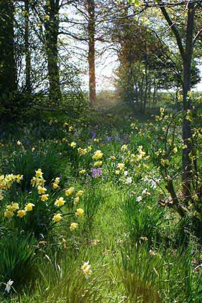 Farm Wedding Venues on Cormiston Farm   Wedding Venue Near Biggar  South Lanarkshire