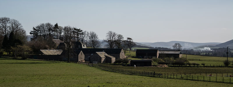 Cormiston Farm - Early Spring